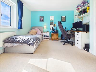 Picture 12